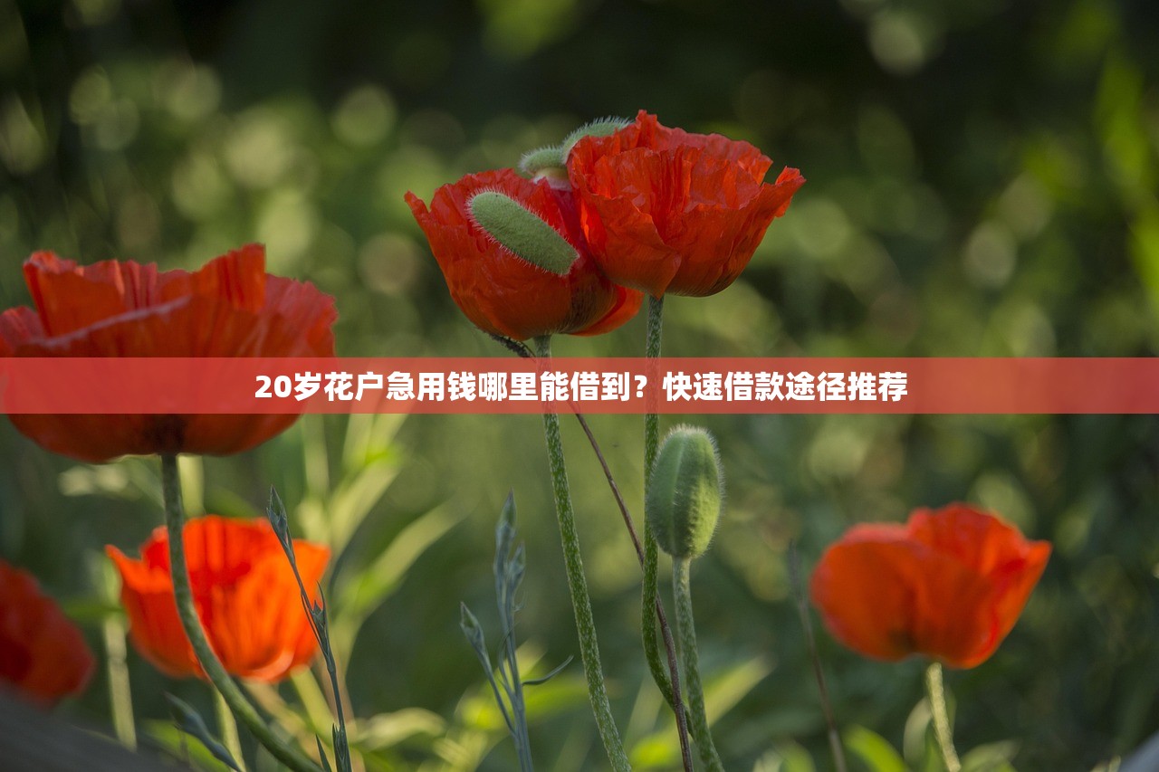 我要借錢馬上到賬私人合肥？這幾個平臺當天放款！