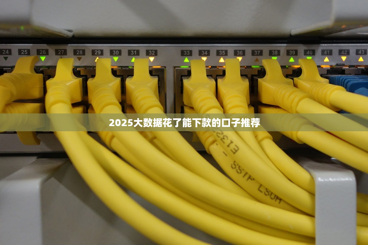 十大不看征信正規網貸2025：低門檻靠譜渠道深度實測