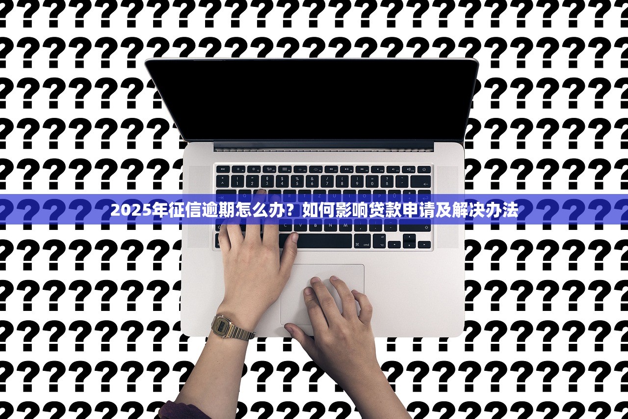 莆田企業家助農貸款平臺：低利率、快審批的農業融資新選擇
