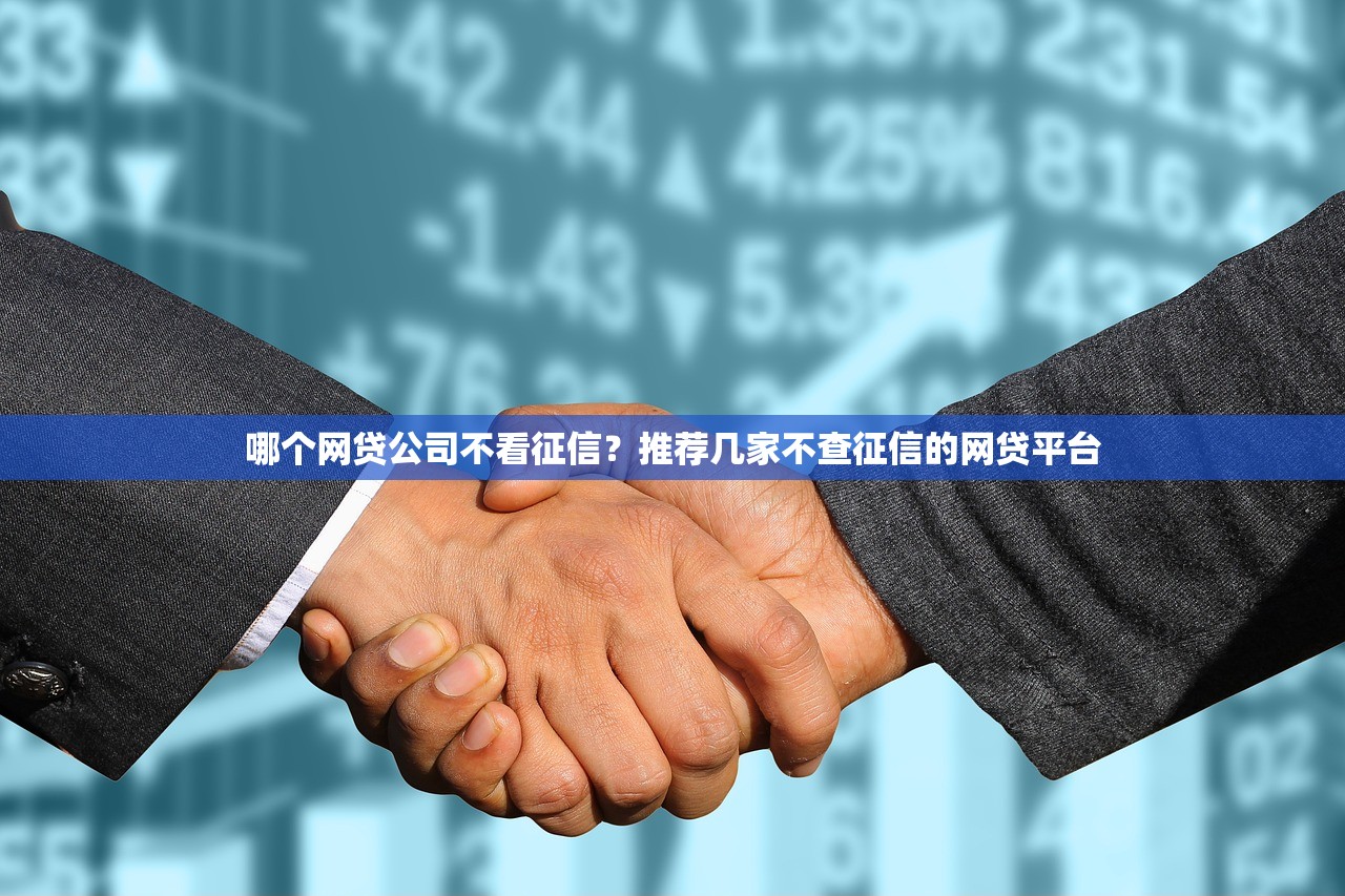 哪個(gè)網(wǎng)貸公司不看征信？推薦幾家不查征信的網(wǎng)貸平臺(tái)