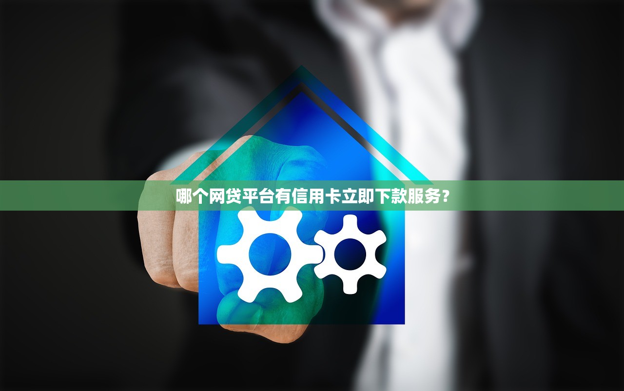 哪個(gè)網(wǎng)貸平臺有信用卡立即下款服務(wù)？
