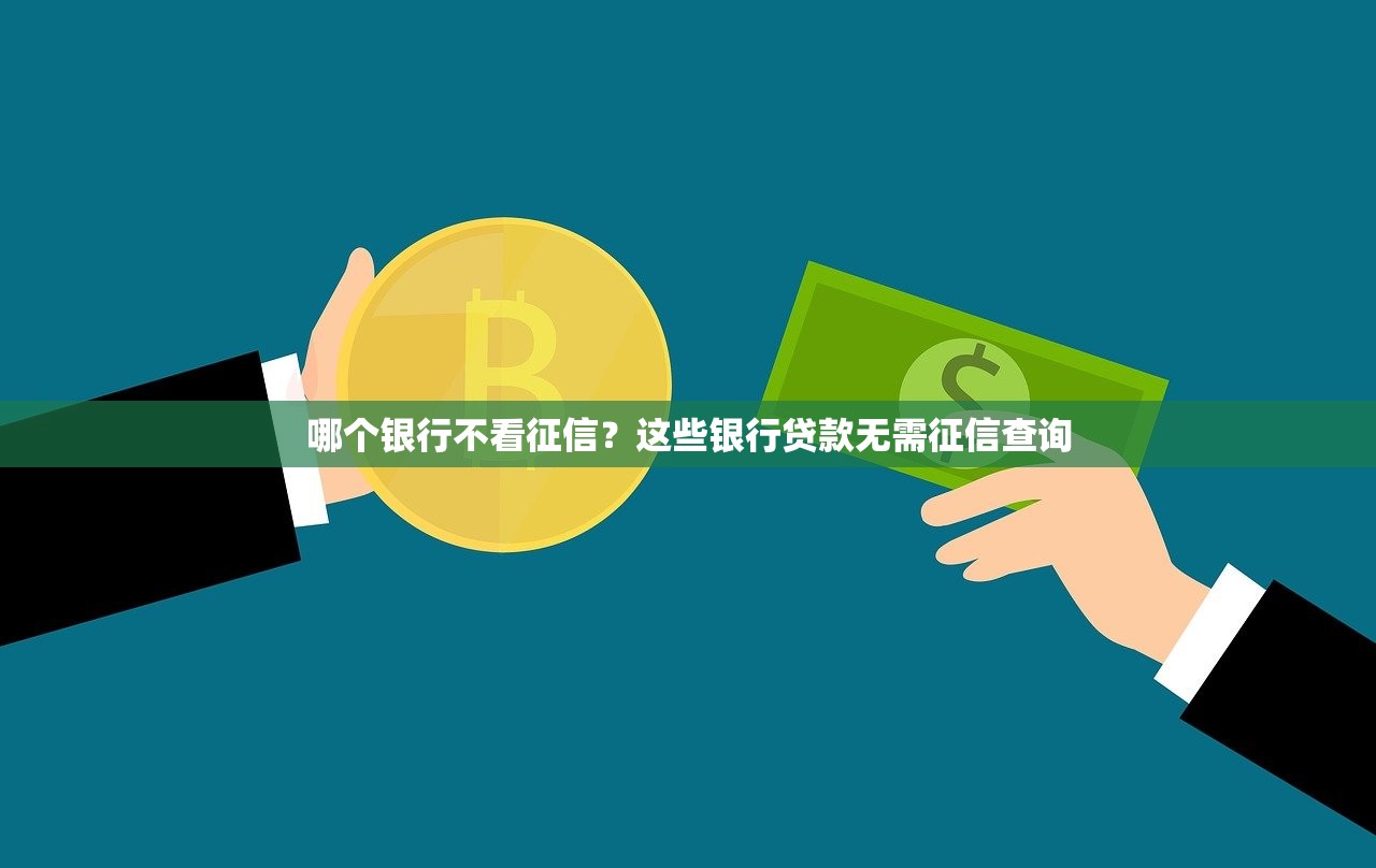 哪個銀行不看征信？這些銀行貸款無需征信查詢