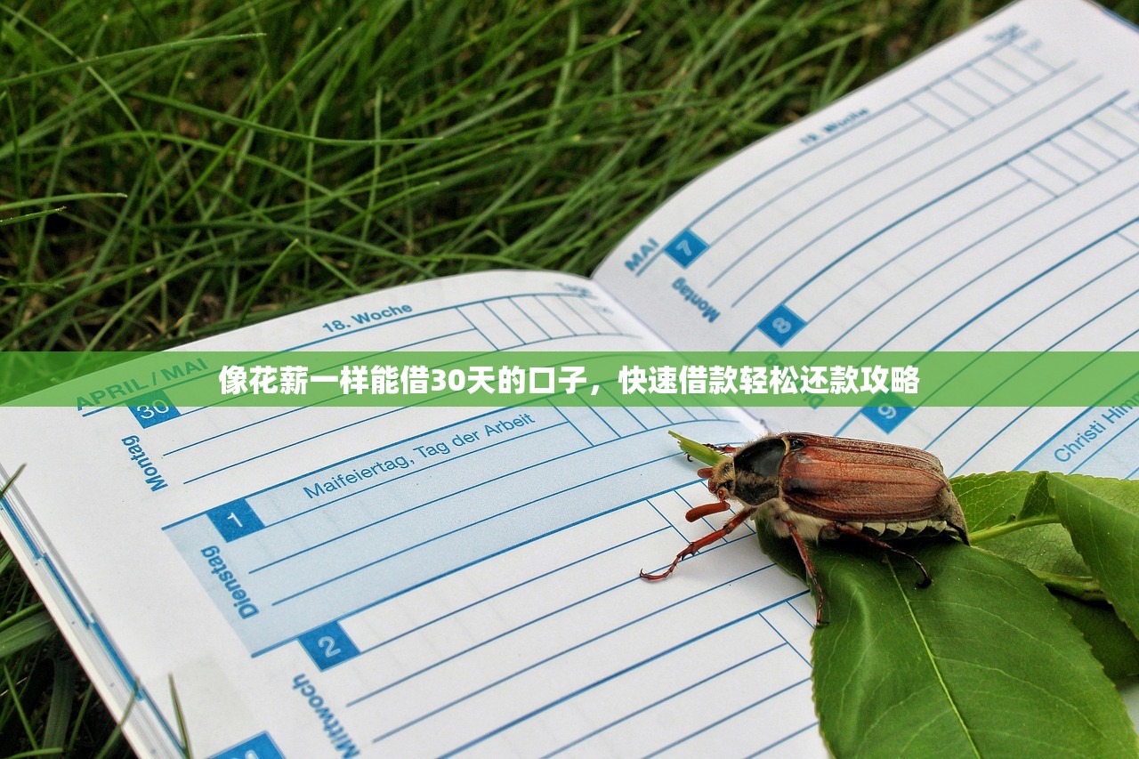 小額貸款3000元秒下款真實測評！如何快速申請到賬？