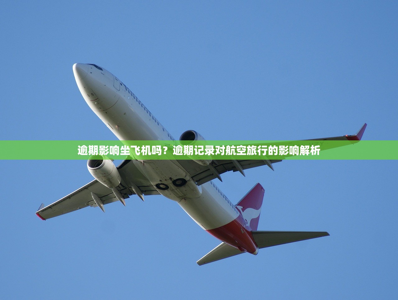 征信黑花了怎么辦最簡(jiǎn)單？3步修復(fù)信用真實(shí)經(jīng)驗(yàn)