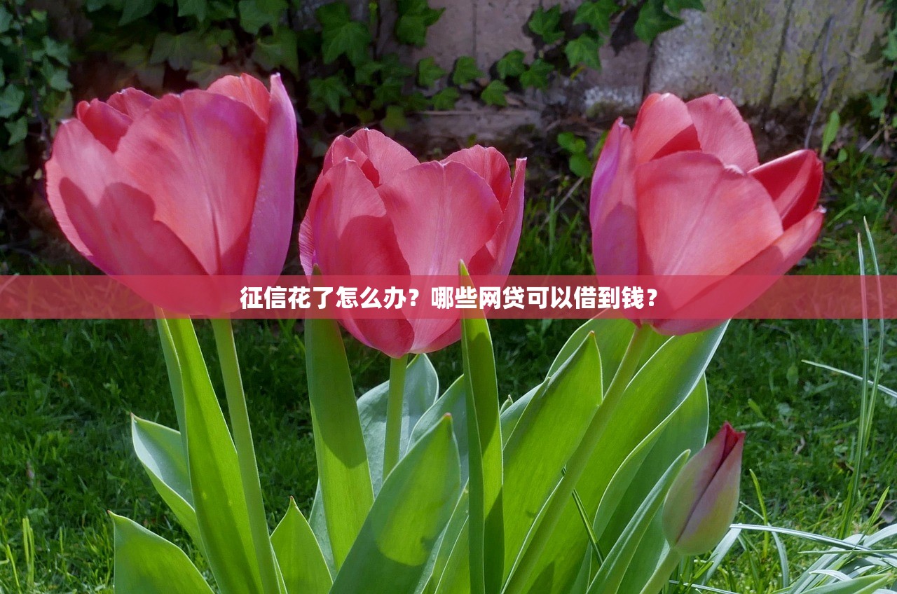 找哪里借錢不上征信？這5個靠譜渠道試試看，審核快門檻低