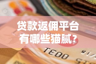 薄荷好借到底靠不靠譜？實測3個避坑技巧+真實下款經驗