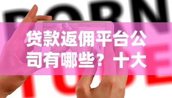 貸款返傭平臺公司有哪些？十大正規(guī)平臺推薦及選擇指南