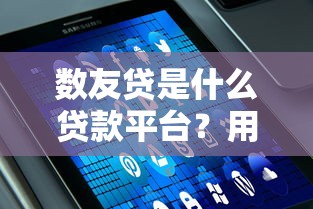 數友貸是什么貸款平臺？用戶真實評測+申請全攻略