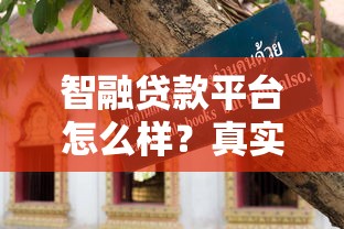 智融貸款平臺怎么樣？真實評測+避坑指南