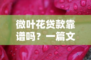 微葉花貸款靠譜嗎？一篇文章講透平臺正規性判斷方法