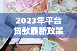 2023年平臺貸款最新政策解讀與申請指南