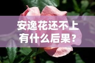 安逸花還不上有什么后果？這幾個坑可能讓你后悔