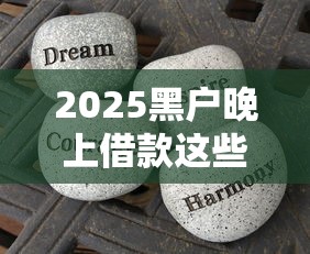 2025黑戶晚上借款這些渠道你知道嗎？親身經(jīng)歷分享