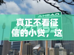 真正不看征信的小貸，這幾個平臺或許能幫到你！