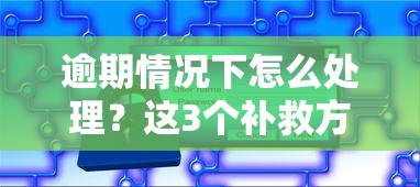 逾期情況下怎么處理？這3個補救方法必須知道
