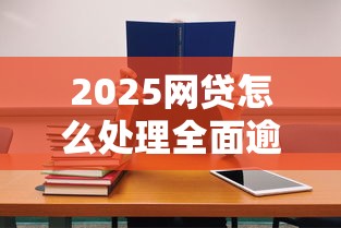 2025網貸怎么處理全面逾期問題？必看解決方案與協商技巧