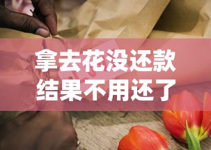 拿去花沒(méi)還款結(jié)果不用還了？真實(shí)情況揭秘