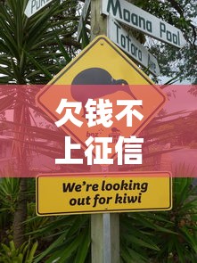 欠錢不上征信嗎？這5種情況你可能不知道