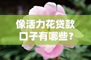像活力花貸款口子有哪些？這5個(gè)靠譜平臺(tái)審核快門檻低