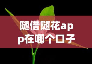 隨借隨花app在哪個口子里面？這幾個渠道靠譜又好用