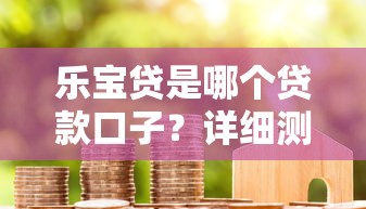 樂寶貸是哪個貸款口子？詳細測評+真實用戶反饋