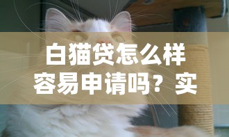 白貓貸怎么樣容易申請嗎？實(shí)測告訴你審核快不快！
