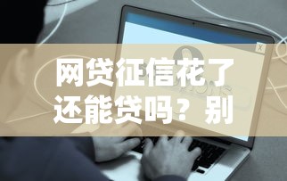 網貸征信花了還能貸嗎？別慌！這些方法幫你解決難題