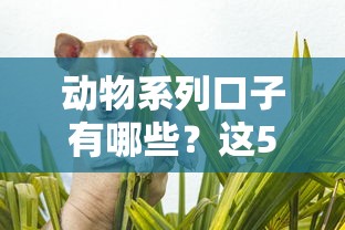 動物系列口子有哪些？這5款靠譜貸款平臺值得一試