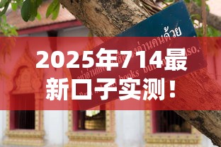 2025年714最新口子實(shí)測！這3個(gè)避坑技巧必須看
