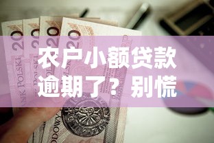 農戶小額貸款逾期了？別慌！這幾個補救辦法值得試試
