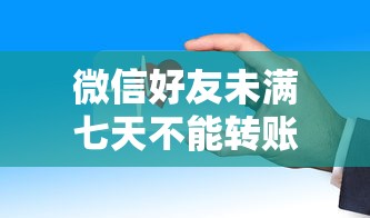 微信好友未滿七天不能轉賬嗎？貸款前必看的轉賬規則