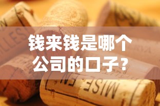 錢來錢是哪個公司的口子？實測分析這口子到底靠不靠譜