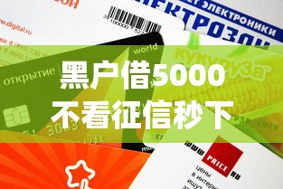 黑戶借5000不看征信秒下款app有哪些？這3個平臺審核快、額度高