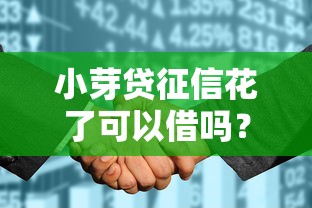小芽貸征信花了可以借嗎？這3個方法或許能幫到你