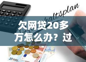 欠網貸20多萬怎么辦？過來人總結5步自救指南