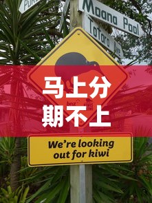 馬上分期不上征信嗎？實測后發現這些隱藏細節