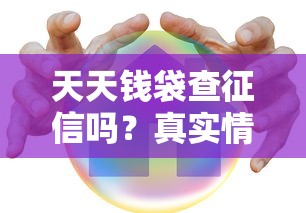 天天錢袋查征信嗎？真實情況告訴你答案