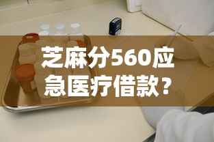 芝麻分560應急醫療借款？這5個平臺審核快、到賬穩！