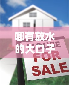 哪有放水的大口子？5個低門檻貸款平臺真實測評+避坑指南