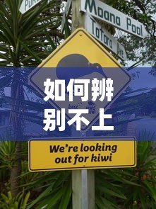 如何辨別不上征信的網(wǎng)貸？這5個細節(jié)要盯緊