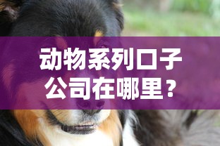 動物系列口子公司在哪里？這三招教你辨別正規貸款平臺
