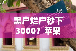 黑戶爛戶秒下3000？蘋果ID貸審核技巧+避坑指南
