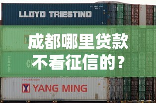 成都哪里貸款不看征信的？這幾家渠道或許能幫到你！