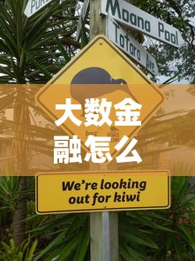 大數金融怎么不上征信？這三點原因你一定要知道