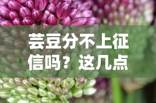 蕓豆分不上征信嗎？這幾點必須知道