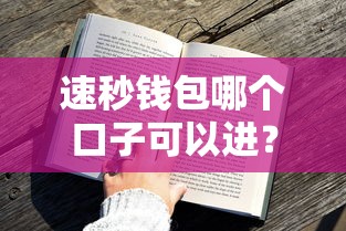 速秒錢包哪個(gè)口子可以進(jìn)？實(shí)測(cè)3個(gè)官方入口和申請(qǐng)技巧