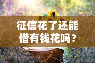 征信花了還能借有錢花嗎？3個方法+實測平臺推薦