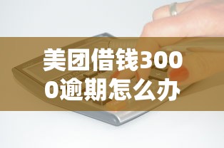 美團借錢3000逾期怎么辦？這5個應對方法要記牢