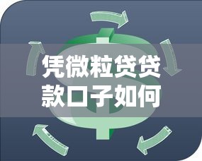 憑微粒貸貸款口子如何快速解決資金周轉難題