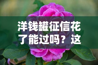 洋錢罐征信花了能過嗎？這三點直接影響審批結果